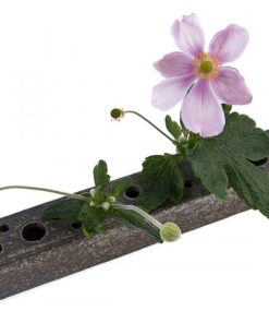 Bungoro - Ceramic Vase | Handcrafted Japanese Tableware