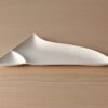 Wasara - Disposable Plate Wasara | Japanese Disposable Tableware