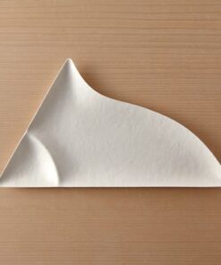 Wasara - Disposable Plate Wasara | Japanese Disposable Tableware